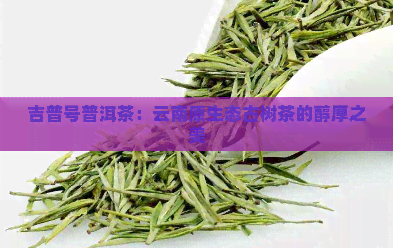 吉普号普洱茶：云南原生态古树茶的醇厚之美