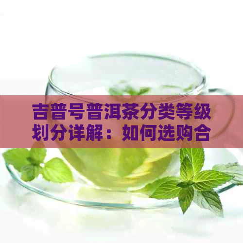 吉普号普洱茶分类等级划分详解：如何选购合适的普洱茶？