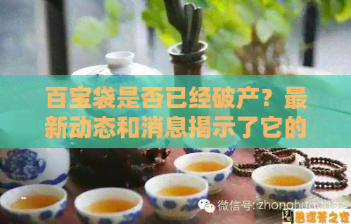 百宝袋是否已经破产？最新动态和消息揭示了它的生存状况