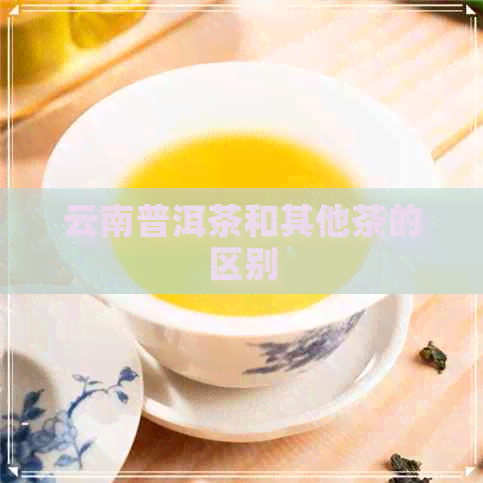 云南普洱茶和其他茶的区别