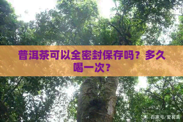 普洱茶可以全密封保存吗？多久喝一次？