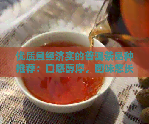 优质且经济实的普洱茶品种推荐：口感醇厚，回味悠长