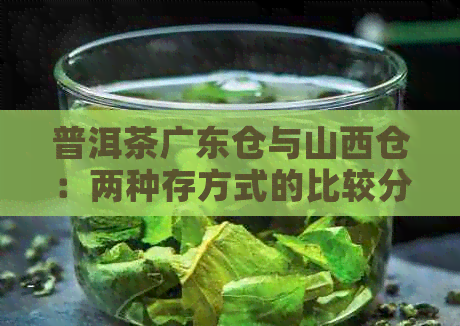 普洱茶广东仓与山西仓：两种存方式的比较分析及其口感差异解析