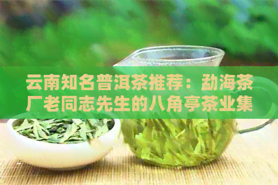 云南知名普洱茶推荐：勐海茶厂老同志先生的八角亭茶业集团