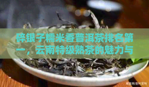 碎银子糯米香普洱茶排名之一，云南特级熟茶的魅力与来源