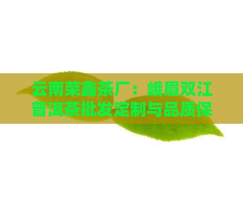 云南荣鑫茶厂：峨眉双江普洱茶批发定制与品质保障