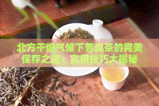 北方干燥气候下普洱茶的完美保存之道：实用技巧大揭秘