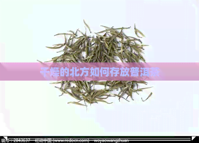 干燥的北方如何存放普洱茶