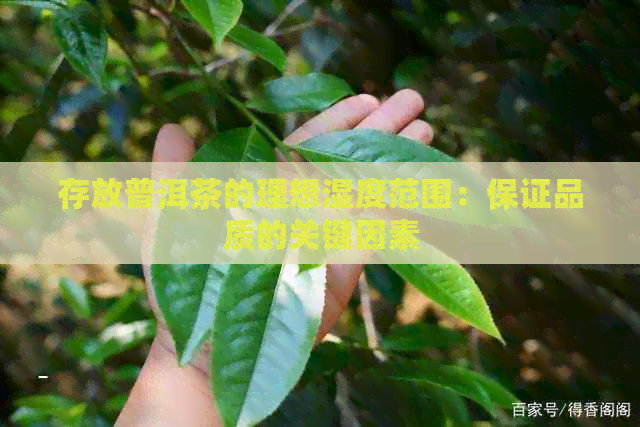 存放普洱茶的理想湿度范围：保证品质的关键因素