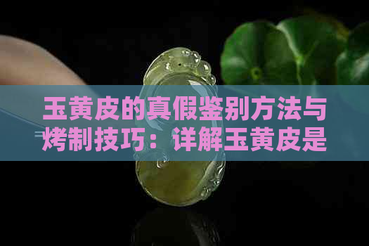 玉黄皮的真假鉴别方法与烤制技巧：详解玉黄皮是什么及其多样性