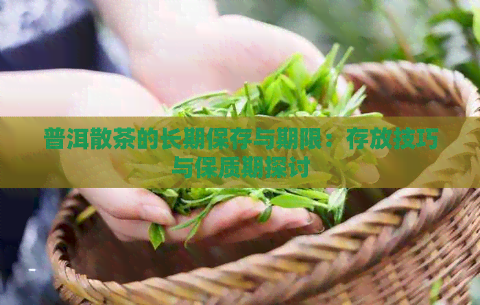 普洱散茶的长期保存与期限：存放技巧与保质期探讨