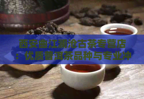 西安曲江澜沧古茶专营店：优质普洱茶品种与专业冲泡指导一应俱全