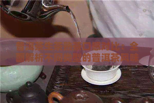 普洱茶生茶熟茶口感对比：全面解析不同类型的普洱茶风味差异及选购指南