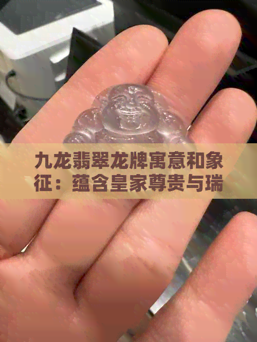 九龙翡翠龙牌寓意和象征：蕴含皇家尊贵与瑞气，代表权威、繁荣与平安。