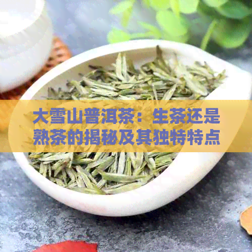 大雪山普洱茶：生茶还是熟茶的揭秘及其独特特点