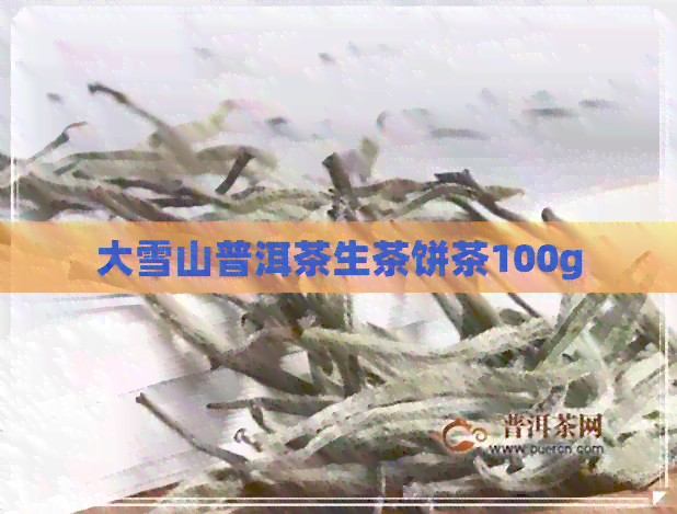 大雪山普洱茶生茶饼茶100g