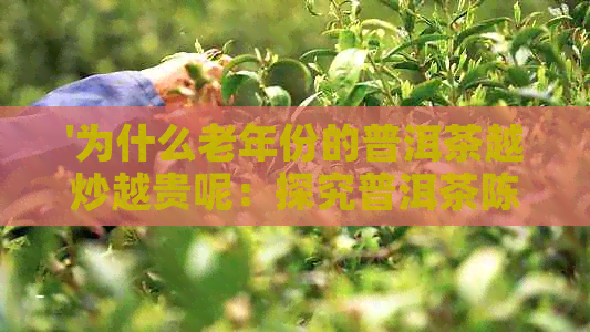 '为什么老年份的普洱茶越炒越贵呢：探究普洱茶陈化价值与市场行情'