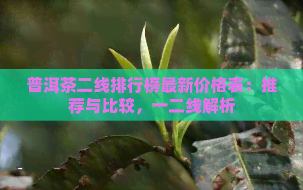 普洱茶二线排行榜最新价格表：推荐与比较，一二线解析