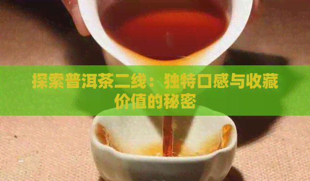 探索普洱茶二线：独特口感与收藏价值的秘密