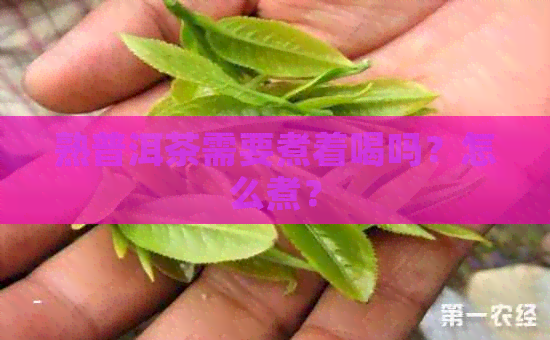 熟普洱茶需要煮着喝吗？怎么煮？