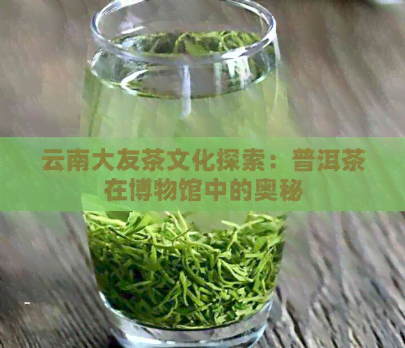 云南大友茶文化探索：普洱茶在博物馆中的奥秘