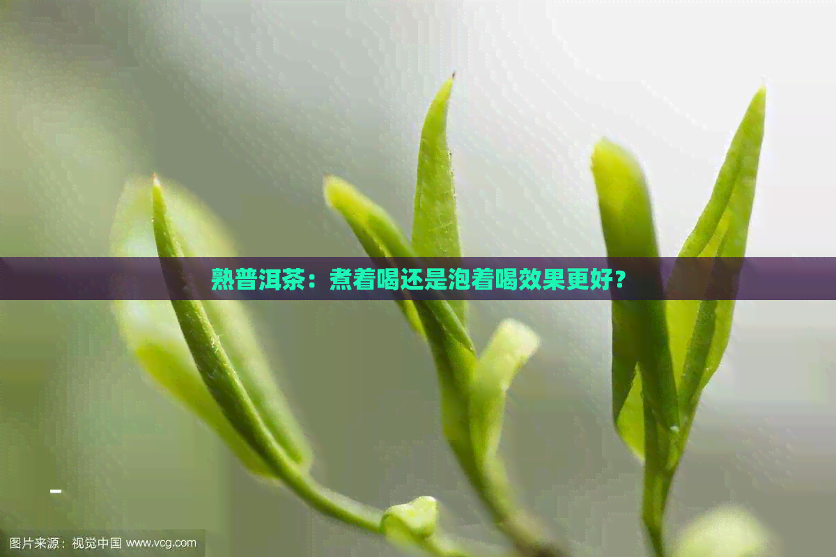 熟普洱茶：煮着喝还是泡着喝效果更好？