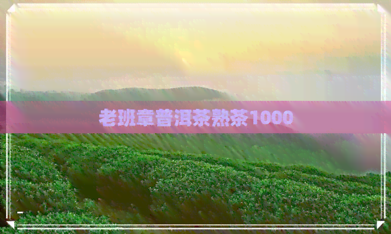 老班章普洱茶熟茶1000