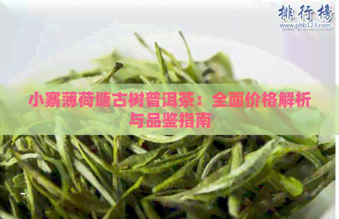 小寨薄荷塘古树普洱茶：全面价格解析与品鉴指南