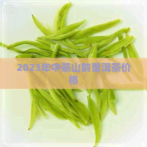 2023年中茶山韵普洱茶价格