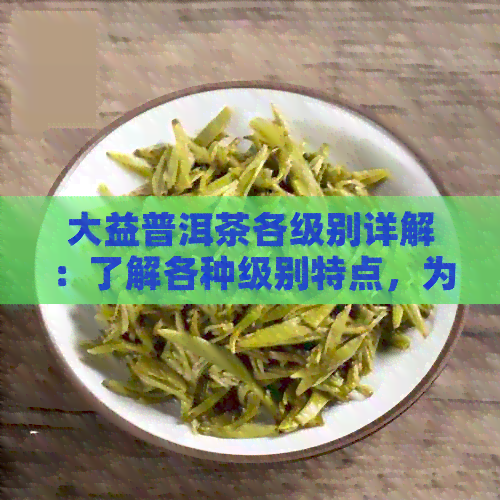 大益普洱茶各级别详解：了解各种级别特点，为您挑选最适合的茶