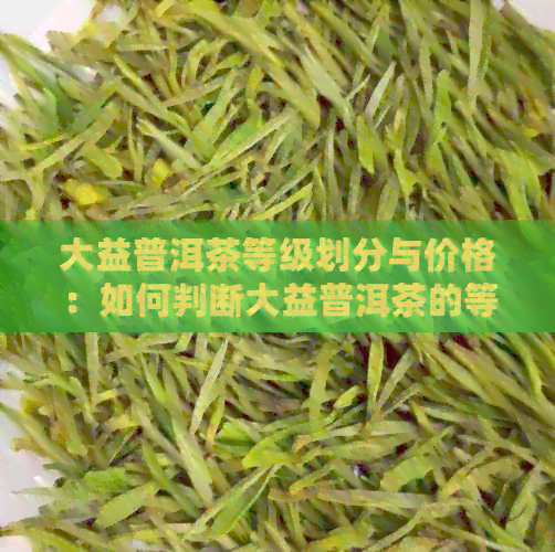 大益普洱茶等级划分与价格：如何判断大益普洱茶的等级？