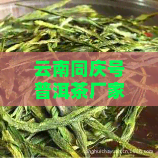 云南同庆号普洱茶厂家批发价格及茶叶图片大全，平台热销