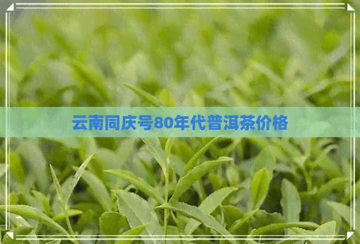 云南同庆号80年代普洱茶价格