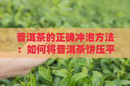 普洱茶的正确冲泡方法：如何将普洱茶饼压平并享用？