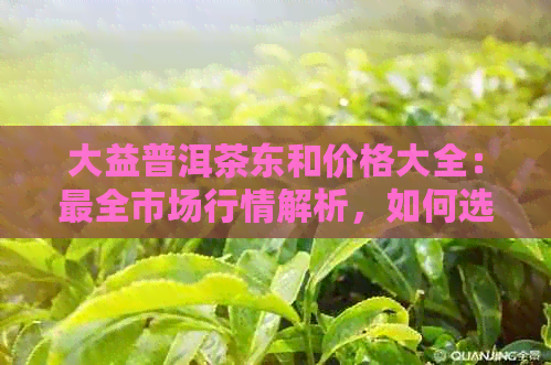 大益普洱茶东和价格大全：最全市场行情解析，如何选购及品鉴技巧一应俱全