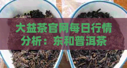 大益茶官网每日行情分析：东和普洱茶价格走势与最新专家推荐