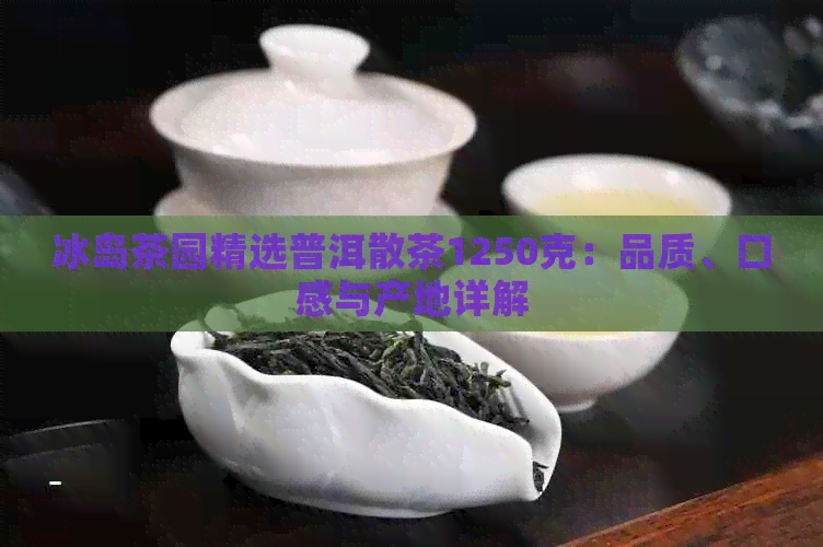 冰岛茶园精选普洱散茶1250克：品质、口感与产地详解