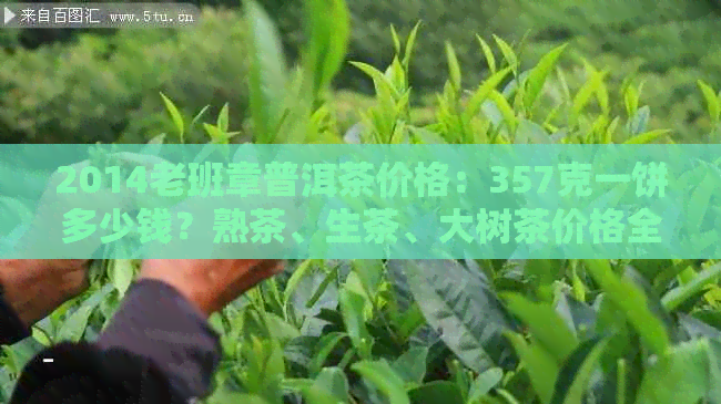 2014老班章普洱茶价格：357克一饼多少钱？熟茶、生茶、大树茶价格全解析