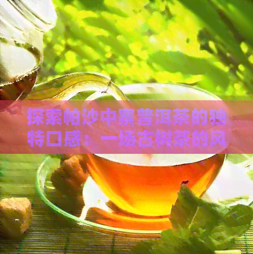 探索帕沙中寨普洱茶的独特口感：一场古树茶的风味之旅