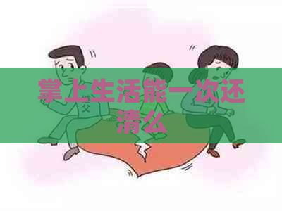 掌上生活能一次还清么