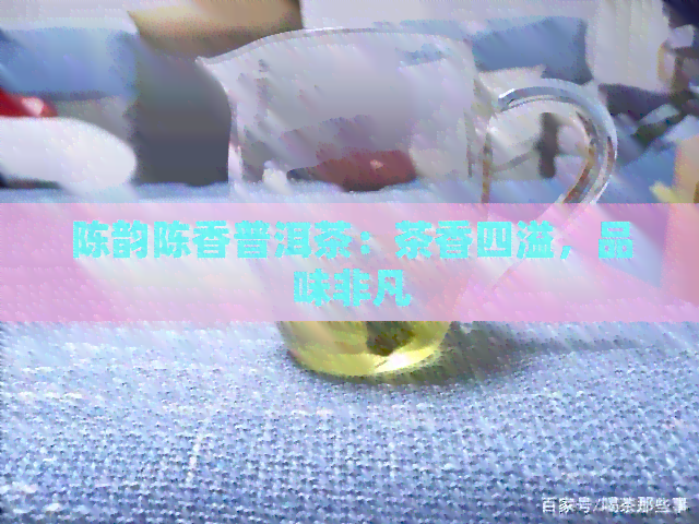 陈韵陈香普洱茶：茶香四溢，品味非凡