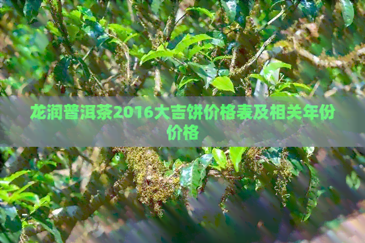 龙润普洱茶2016大吉饼价格表及相关年份价格