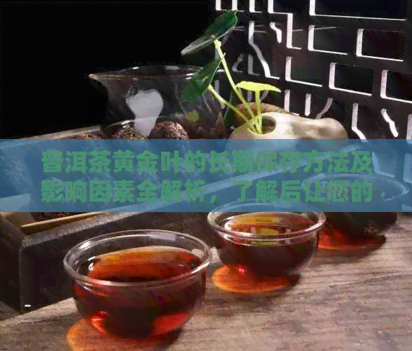 普洱茶黄金叶的长期保存方法及影响因素全解析，了解后让您的茶叶保更长久