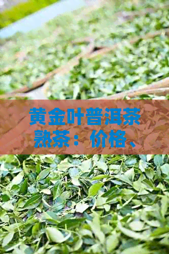 黄金叶普洱茶熟茶：价格、口感与区分，最新2019年版