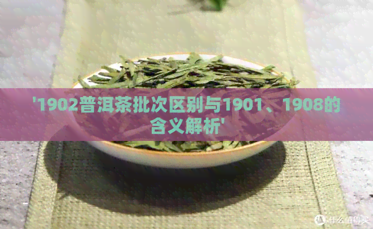 '1902普洱茶批次区别与1901、1908的含义解析'