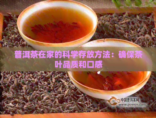 普洱茶在家的科学存放方法：确保茶叶品质和口感