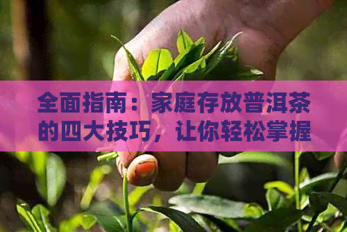 全面指南：家庭存放普洱茶的四大技巧，让你轻松掌握普洱茶的存方法！