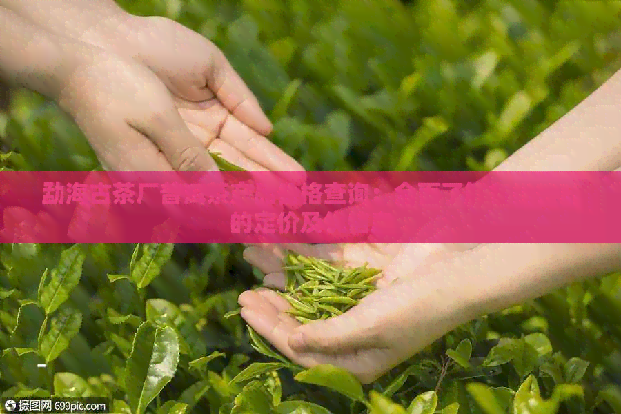 勐海古茶厂普洱茶产品价格查询：全面了解各类茶叶的定价及优信息