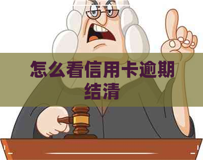 怎么看信用卡逾期结清