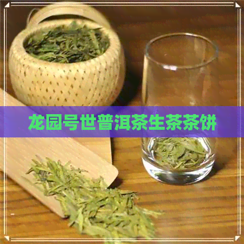 龙园号世普洱茶生茶茶饼